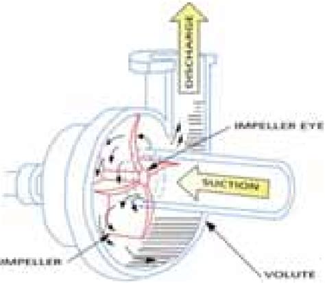 centrifugal pump spinning backwards|centrifugal pump spinning direction.